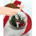 Christmas Penguin Hanging Terrarium Kit - Easy to Grow Air Plant - 5" Glass   